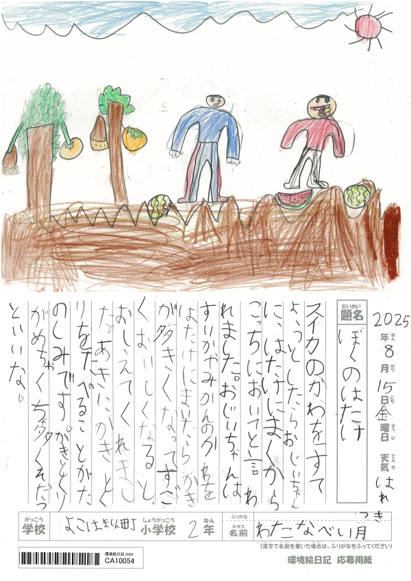 ぼくのはたけ | 環境絵日記